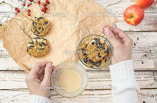 The woman's hands make food for wild birds from apples, bacon and seeds. Birdhouses for the winter on a white wooden background. View from above [IBR125411120]