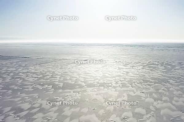 Winter landscape of tundra, snow, blizzard and snowdrifts [IBR125411148]