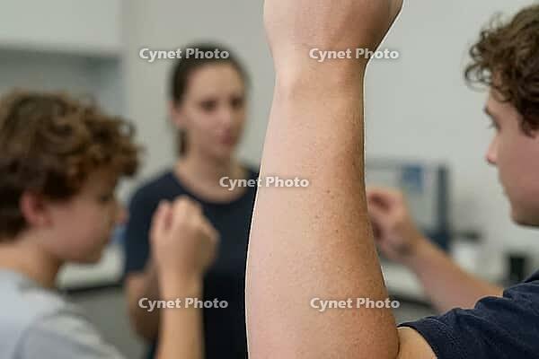 Kinesthetic communication and collaborative classroom interaction, expressive hand gestures among adolescents during pedagogical group work, nonverbal learning strategies in secondary education, student engagement fostering active citizenship and democrat [IBR125414199]