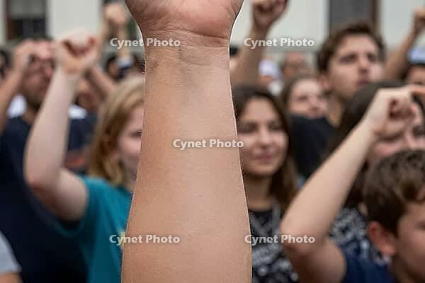 Civic activism and collective empowerment at a street demonstration, raised fists signify grassroots democracy, political participation, social reform, a dominant foreground forearm reaching upward embodies individual agency within collective mobilization [IBR125414212]