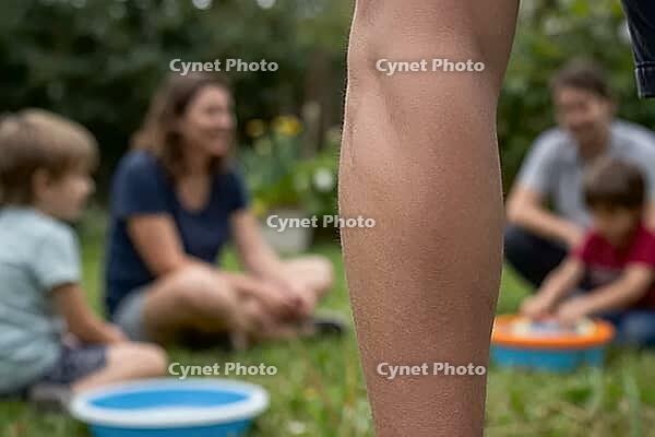A muscular adult calf stands on green grass while a family plays in soft background, physical vitality merges with nurturing domestic care in a tranquil garden, a sharp lower leg represents somatic resilience and parental guardianship as a metaphor for st [IBR125414215]