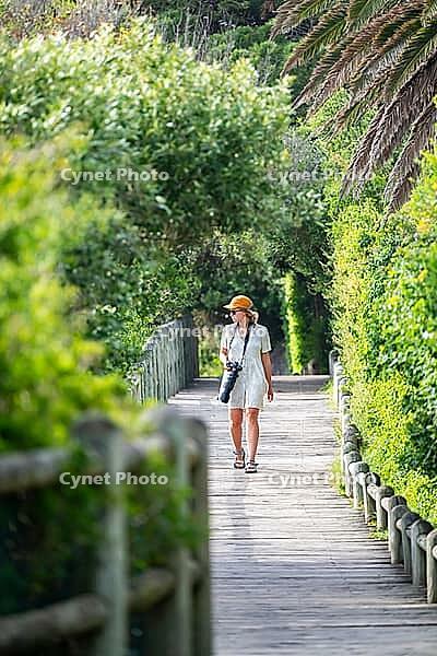 Young woman with camera, photographer walking along a path in the countryside, Cape Town, South Africa [IBR125414217]