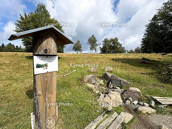 Source of the river Lenne Lennequelle on top of Kahler Asten in the Rothaargebirge with left small information board at the bottom right at the source Metal plate on it inscription Lennequelle 830 m above sea length of the river 138 km, Winterberg, Sauerl [IBR125414223]