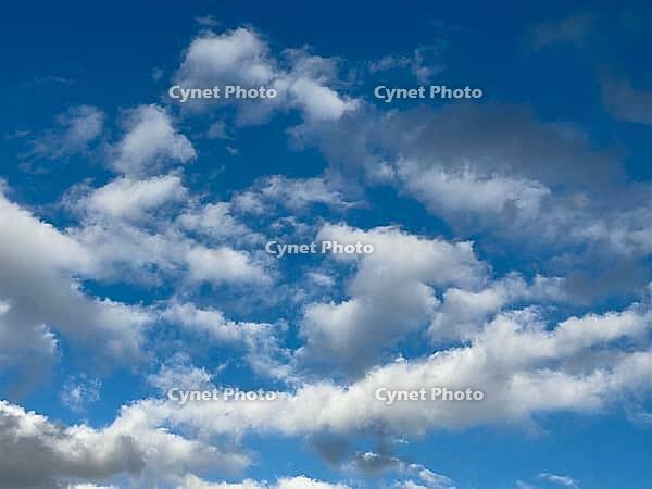 White cluster clouds Cumulus in various forms Altocumulus Stratocumulus under blue sky, Germany [IBR125414251]