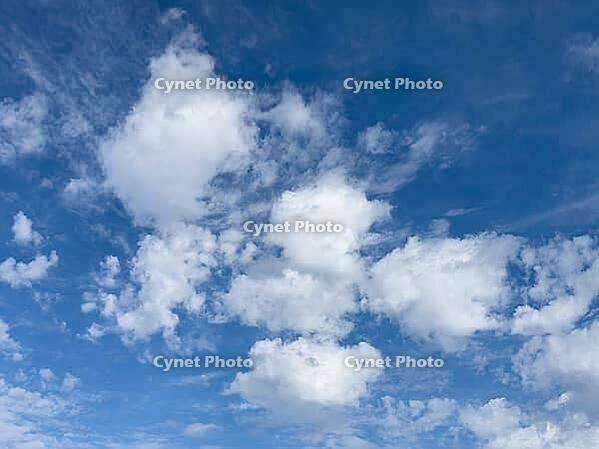 Wind-driven white slightly frayed torn torn cluster clouds driving Alttocumulus Cumulus fractus under blue sky, Germany [IBR125414259]