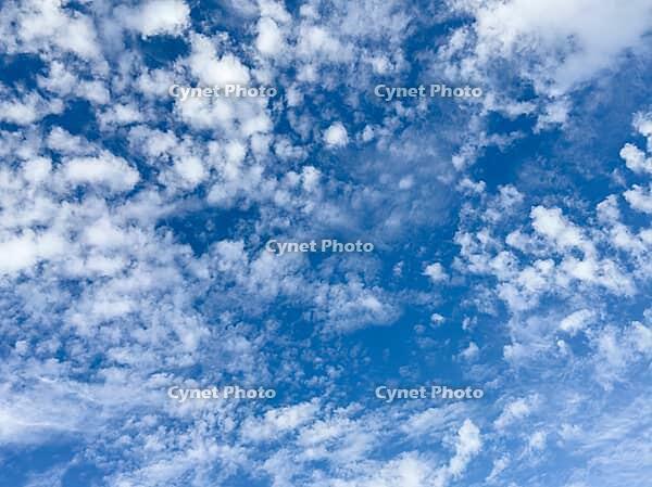 Sheep clouds Altocumulus cluster clouds on under blue sky, international [IBR125414260]