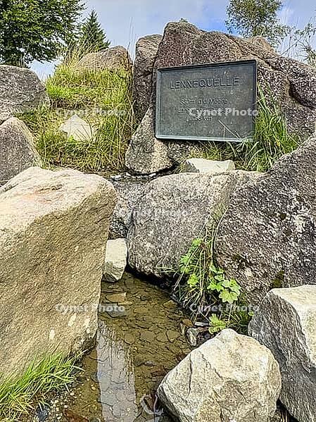 Source of the river Lenne Lennequelle on top of Kahler Asten in the Rothaargebirge with metal plate on it inscription Lennequelle 830 m above sea length of the river 138 km, Winterberg, Sauerland, North Rhine-Westphalia, Germany [IBR125414277]