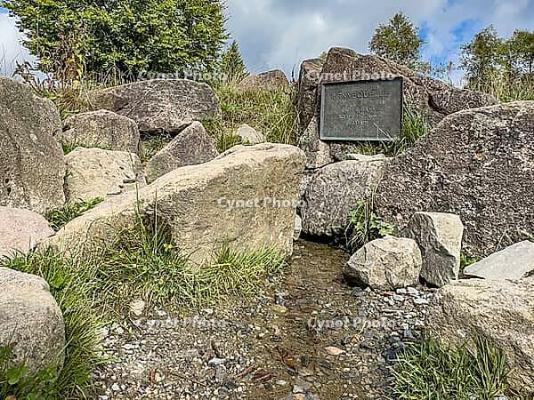 Source of the river Lenne Lennequelle on top of Kahler Asten in the Rothaargebirge with metal plate on it inscription Lennequelle 830 m above sea length of the river 138 km, Winterberg, Sauerland, North Rhine-Westphalia, Germany [IBR125414278]
