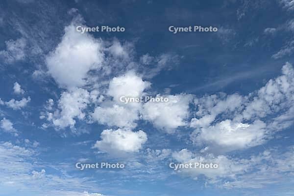 Wind-driven white slightly frayed torn torn cluster clouds driving Alttocumulus Cumulus fractus under blue sky, Germany [IBR125414286]