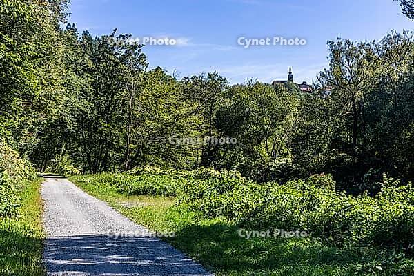 Cycle path, Sulmtalradweg, in the back of Frauenberg Wallfahrtskirche, near Leibnitz, Styria, Austria [IBR125415358]