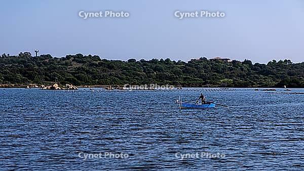 A picture of the beautiful pond of San Teodoro in Sardinia [IBR125415381]