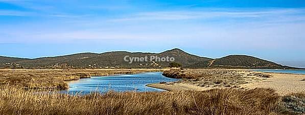 A beautiful view of a pond behind Posada's beach [IBR125415392]