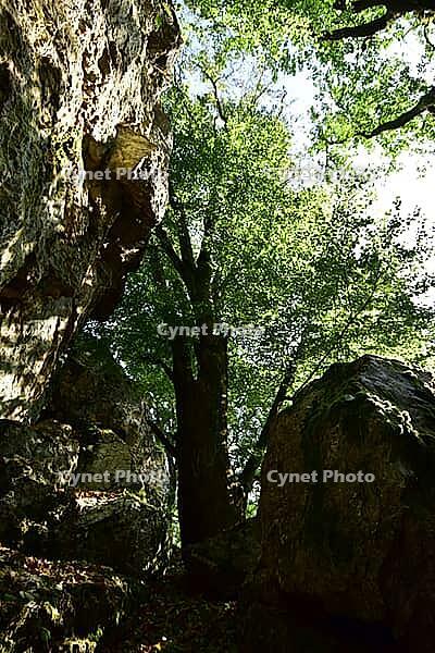 The Quarzite Rock Graue Lei, a natural monument in the Morbach area in the Hunsrück region and the largest monolith in the Rhenish Oberland, Rhineland-Palatinate, Germany [IBR125415411]