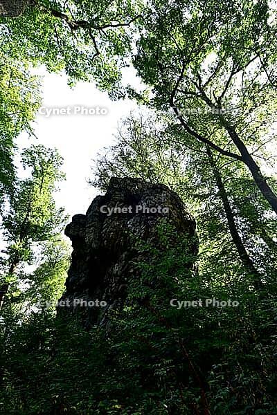 The Quarzite Rock Graue Lei, a natural monument in the Morbach area in the Hunsrück region and the largest monolith in the Rhenish Oberland, Rhineland-Palatinate, Germany [IBR125415413]