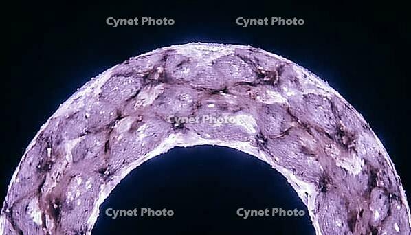Abstract finely mottled violet lavender cross-sectional ring visualization representing cardiac extracellular volume mapping, dark background, clinical imaging concept, AI generated [IBR125421208]
