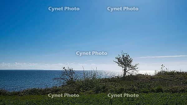 View of the Baltic Sea, Sonderborg Municipality, Syddanmark Region, Denmark [IBR125423503]