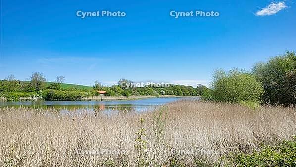 View over a lake, Sonderborg Municipality, Syddanmark Region, Denmark [IBR125423504]
