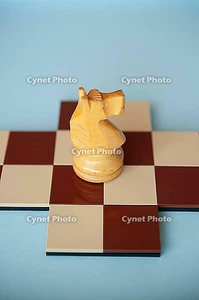 A yellow wooden knight shaped like a horse on a brown and beige chessboard [IBR125424484]
