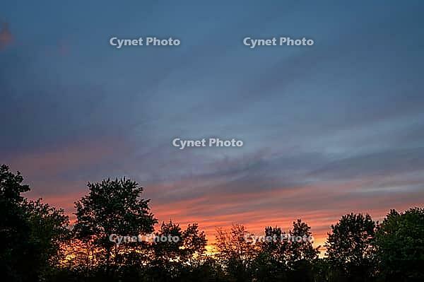 Evening sky with tree silhouettes, Bavaria, Germany [IBR125424501]