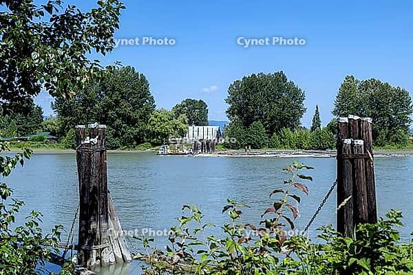A calm river flows past weathered wooden pilings leading to a small ferry dock with a building and trees on the opposite bank, Dyke Rd, Surrey, BC V4N 4R 1, Canada [IBR125424504]