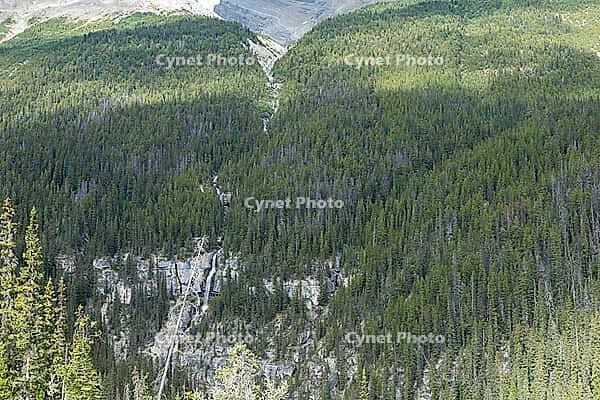 A vast expanse of coniferous trees blankets rugged terrain, revealing a thin waterfall tumbling down rocky cliffs, Jasper, Canada [IBR125424508]