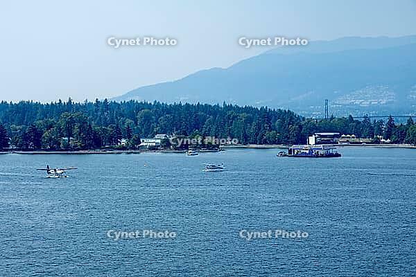 Multiple seaplanes are visible on the water with a lush green forest and mountains in the background, Canada place, North Vancouver, BC Canada [IBR125424531]