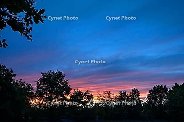 Evening sky with tree silhouettes, Bavaria, Germany [IBR125424536]