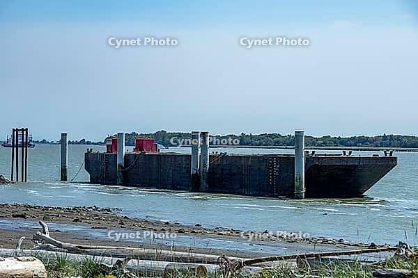 A wide, flat-bottomed barge with red structures on deck is moored in a tranquil bay with a distant forest and clear sky overhead, Garry Point park, Richmond, BC, Canada [IBR125424537]