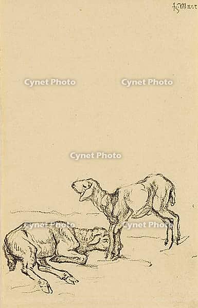 Two Lambs, 1908, artwork by Franz Moritz Wilhelm Marc (born 8 February 1880 in Munich, died 4 March 1916 in Braquis near Verdun, France), German painter, draughtsman and graphic artist. He is regarded as one of the most important painters of Expressionism [IBR125424544]