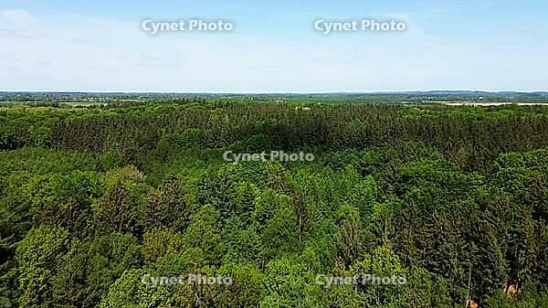 Aerial drone view over green forest in Schleswig Holstein Germany [IBR125436216]