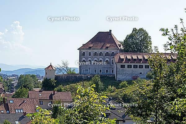 Steinbüchel Castle, Grad Zaprice, Kamnik, Upper Carniola, Slovenia [IBR125436237]
