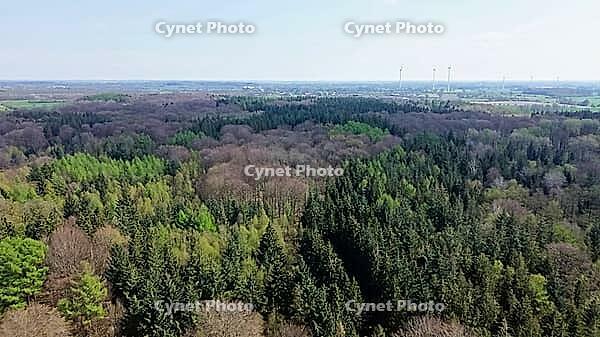 Forest landscape in Germany with wind turbines generating clean, renewable energy [IBR125436252]