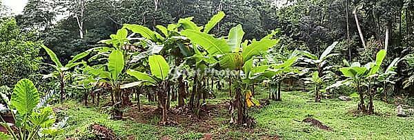 Beautiful impressions of the tropical landscape on the Seychelles islands paradise [IBR125436307]