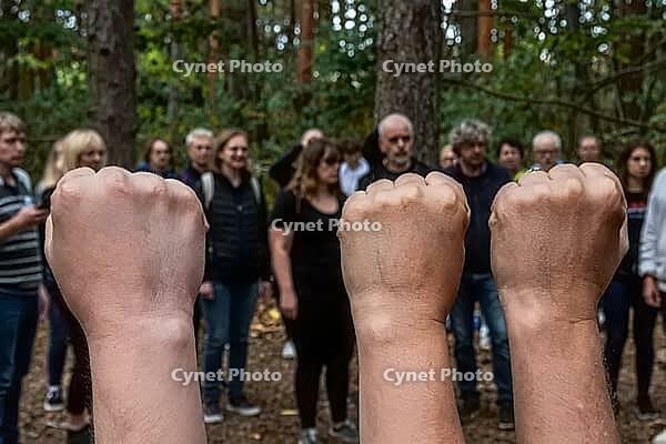 Clenched fists raised in solidarity for grassroots environmental activism and civil resistance, diverse group of people gather in woodland glade, collective empowerment and social cohesion in natural forestry landscape, symbolic gesture of unity against c [IBR125446445]