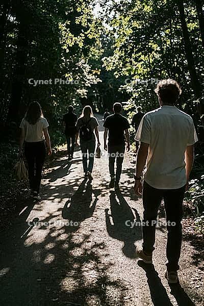 Back view of friends walking along dirt trail through dense forest, outdoor exploration and communal bonding in nature, dappled sunlight filtering through green canopy foliage onto ground, elongated silhouettes casting prominent cast shadows on gravel roa [IBR125446447]