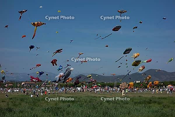 FR$00C9JUS, FRANCE - SEPTEMBER 20, 2026: Kites above vegetation at an air festival during the Festival International de l'Air at Base Nature Fran$00E7ois L$00E9otard [IBR125448828]