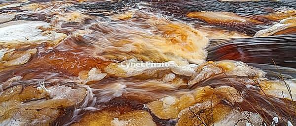Close-up view of the turbulent stream and rapids of the Roshchinka River with brown water, at daytime, Lindulovskaya grove, Leningrad Oblast, Russia [IBR125448842]