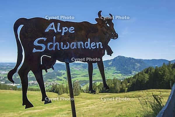 A rusty metal cow marks Alpe Schwanden as a traditional alpine farm, the flat silhouette also serves as a signpost and regional symbol in the mountain area on Mittagberg, 1452m, above Immenstadt, Allg$00E4u, Bavaria, Germany [IBR125448844]