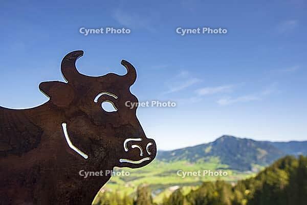 A rusty metal cow marks Alpe Schwanden as a traditional alpine farm, the flat silhouette also serves as a signpost and regional symbol in the mountain area on Mittagberg, 1452m, above Immenstadt, Allg$00E4u, Bavaria, Germany [IBR125448859]