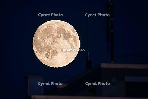 The full moon, which is also called harvest moon or autumn moon in September, glows in the evening sky, Frankfurt am Main, Hesse, Germany [IBR125448864]