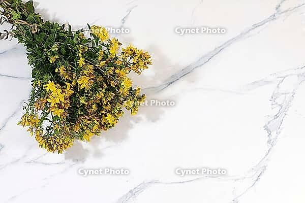 Hypericum flowers on a concrete table, herbal remedies, alternative folk medicine concept, green pharmacy advertising, collection of useful herbs for folk medicine, source of vitamins to strengthen the immune system [IBR125462073]