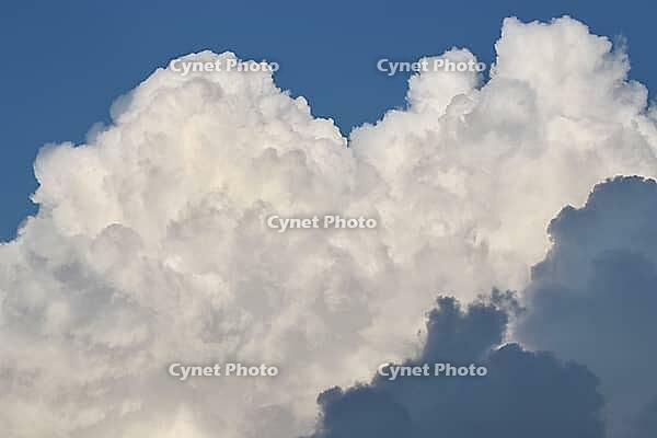 A majestic formation of towering, sunlit white cumulonimbus clouds against a deep blue sky, with dark grey shadows at the base, creating dramatic contrast and depth. [IBR125462099]