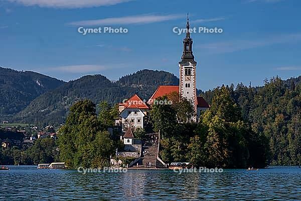 St Mary's Church on the island of Bled in Slovenia - postcard, Europe, Famous [IBR125492325]