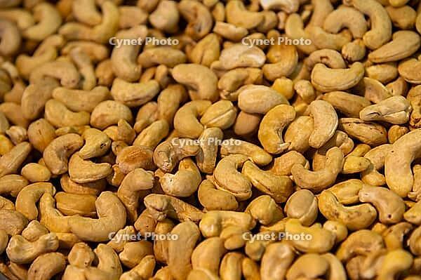 Background of organic cashew nuts, roasted salted cashew for snack, healthy eating, delicious breakfasts. top view [IBR125492343]
