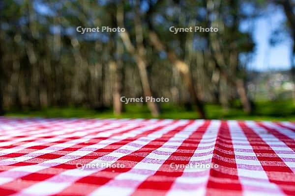 Red checkered picnic tablecloth in forest under bright sunlight [IBR125492362]