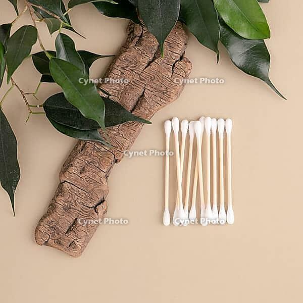 Eco-friendly wooden cotton swabs on tree bark and green leaves promote a sustainable approach to beauty and self-care. Green lifestyle, environmental awareness, consumption [IBR125492363]