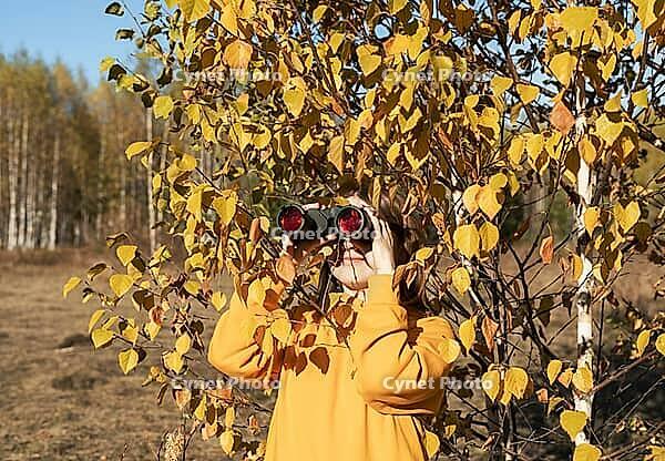 Young woman in yellow hood with binoculars watching birds in autumn forest bird watching, zoology, ecology research, observing animals ornithology [IBR125492371]