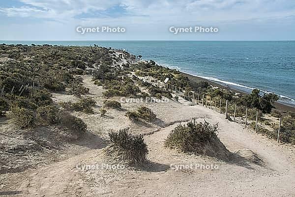 Punta norte beach landcape, Halbinsel valdes, viedma department, chubut province, Argentinien [IBR125492398]