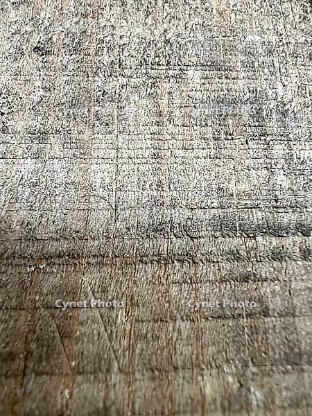 Wood texture. Background. Vertical image [IBR125492402]