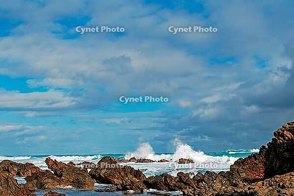 Cape of Good Hope, East Coast, South Africa [IBR125492414]